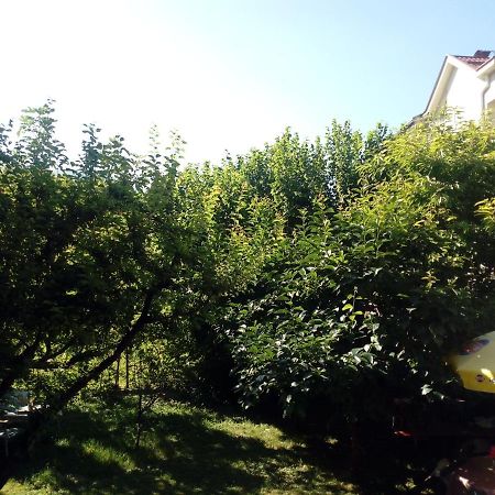 Vila Dudan Ohrid Luaran gambar
